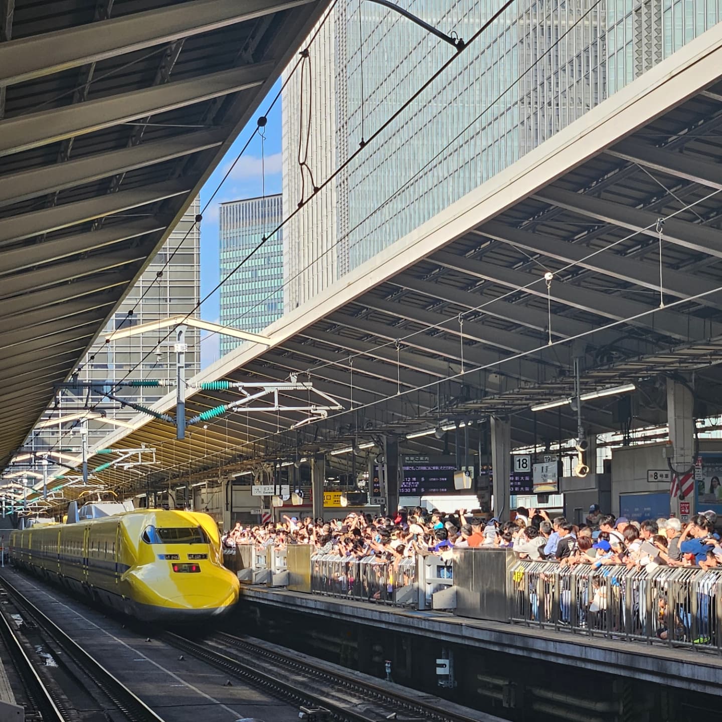 今日は鉄道好きの息子についていきドクターイエローを見に行ってきました