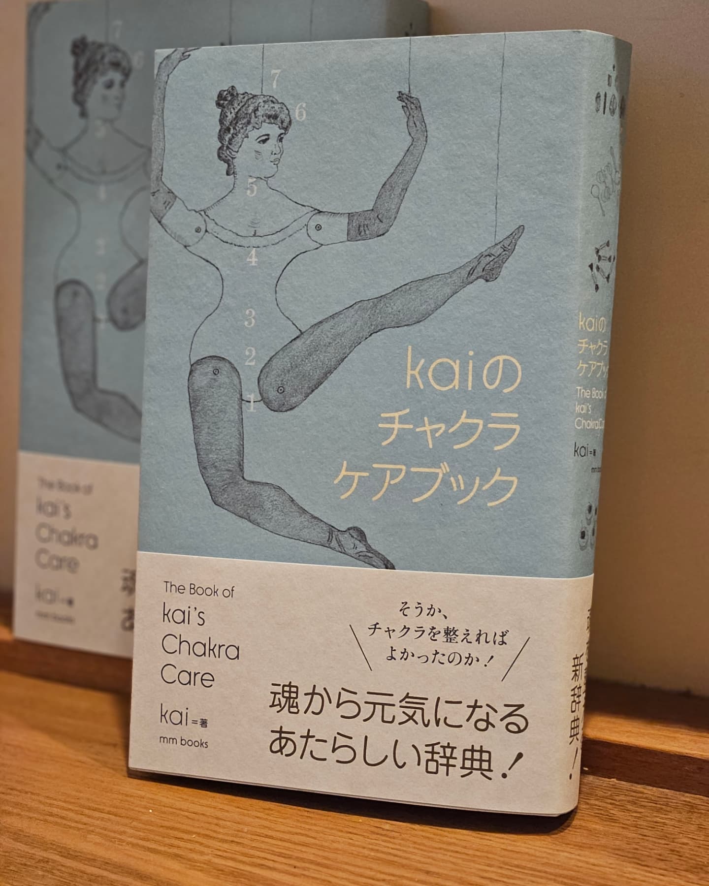 一昨日土曜日は当店でもお取り扱いをさせていただいている｢Kaiのチャクラケアブック」の著者のKaiさんの瞑想ワークショップに参加してきました