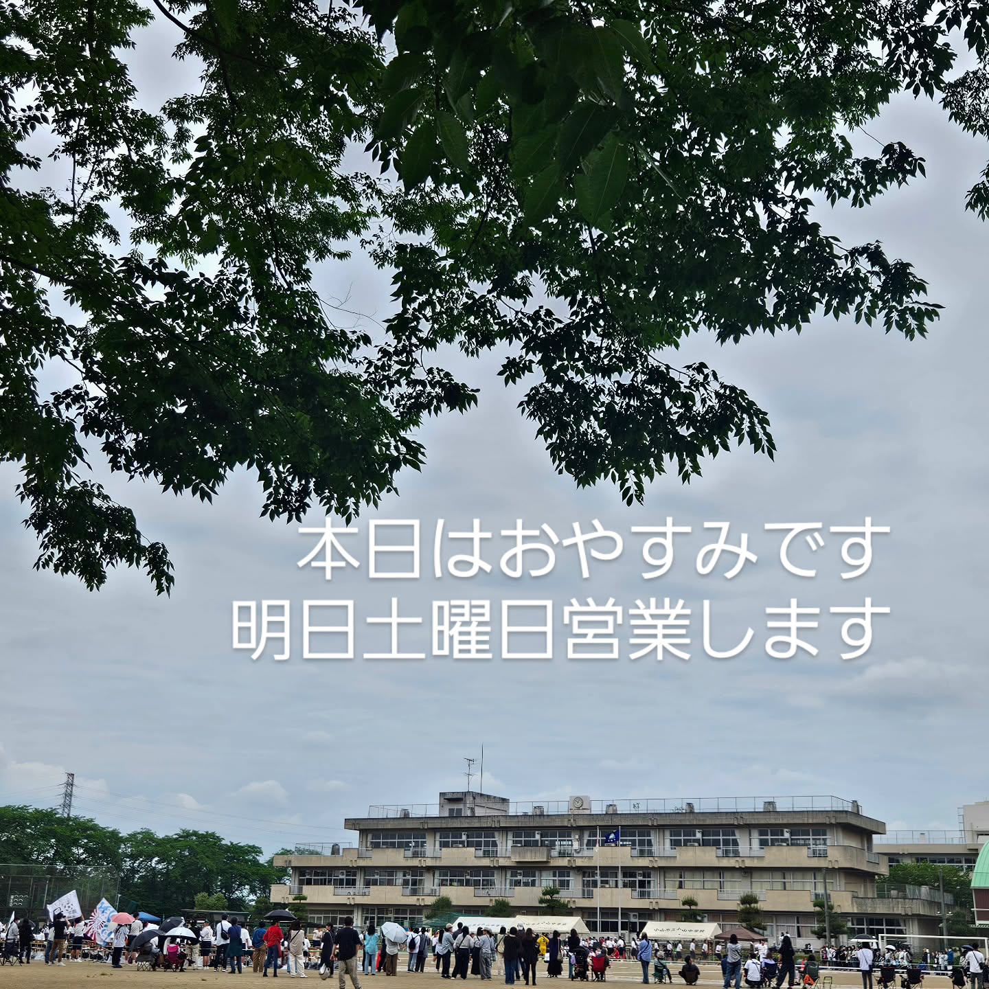 今日23日金曜日は息子の運動会のためおやすみしております