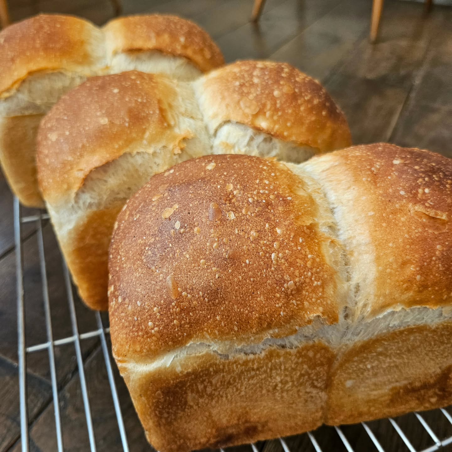 明日3日水曜日のメニューです