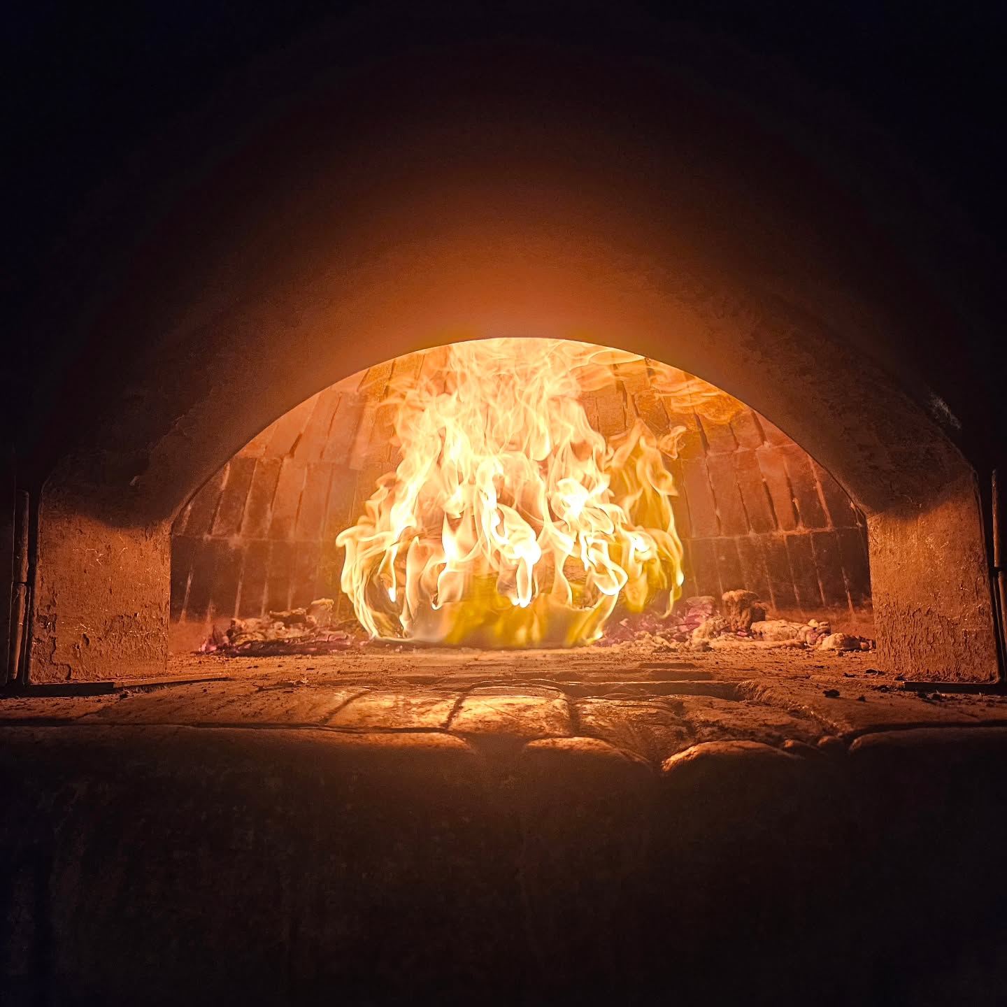 研修から無事帰ってきました