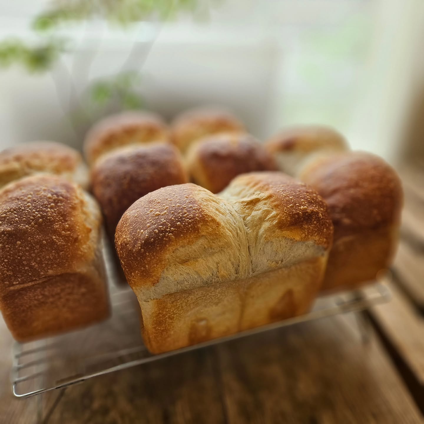 明日29日水曜日のメニューです