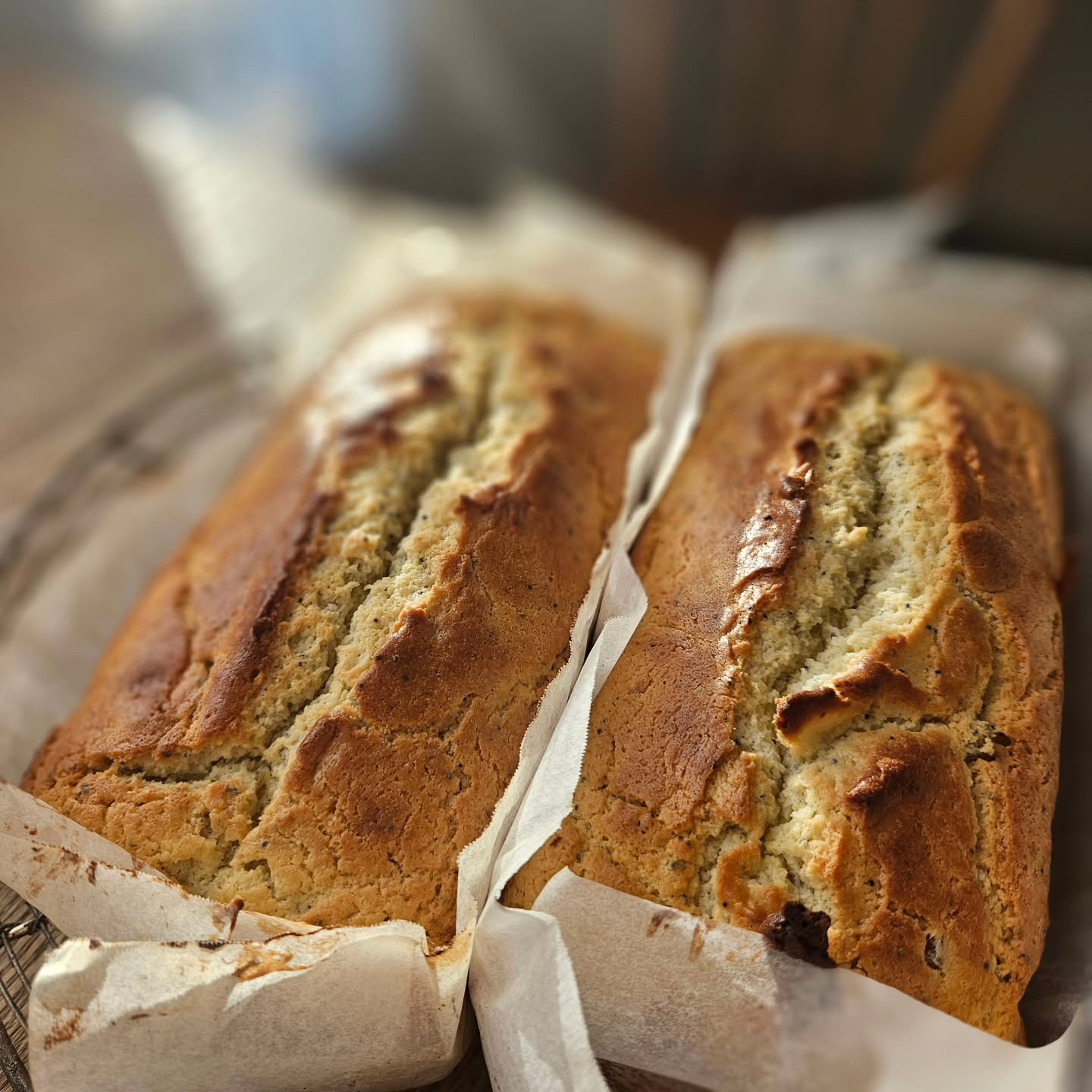 明日19日水曜日のメニューです