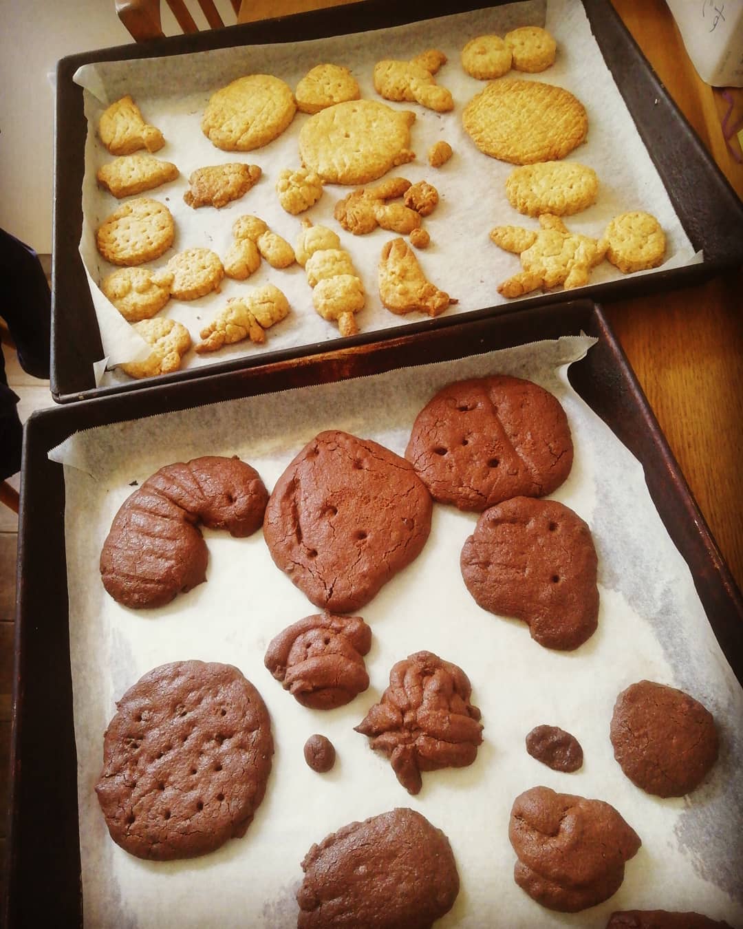 今日は近所のお友達と３人でクッキー作り